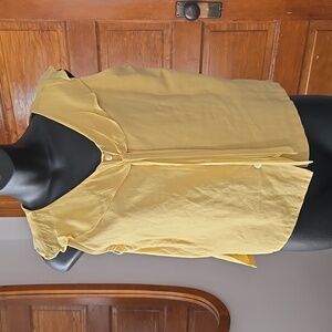 Delicate Gold Shawl Collar Top